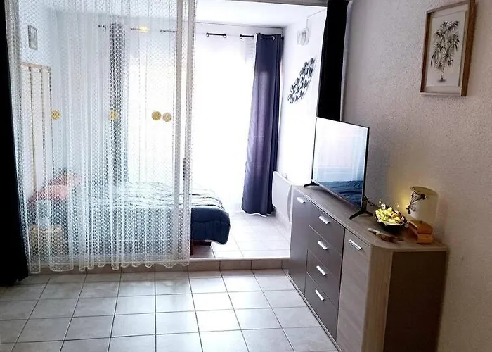 Centre Port 4 Pers Cap D'agde Agde